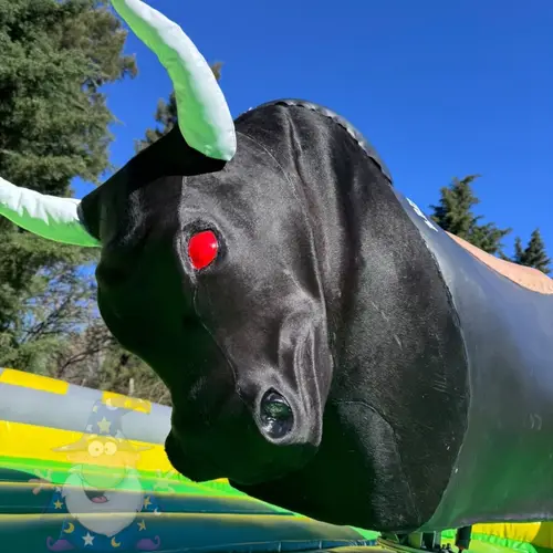 TORO MECANICO