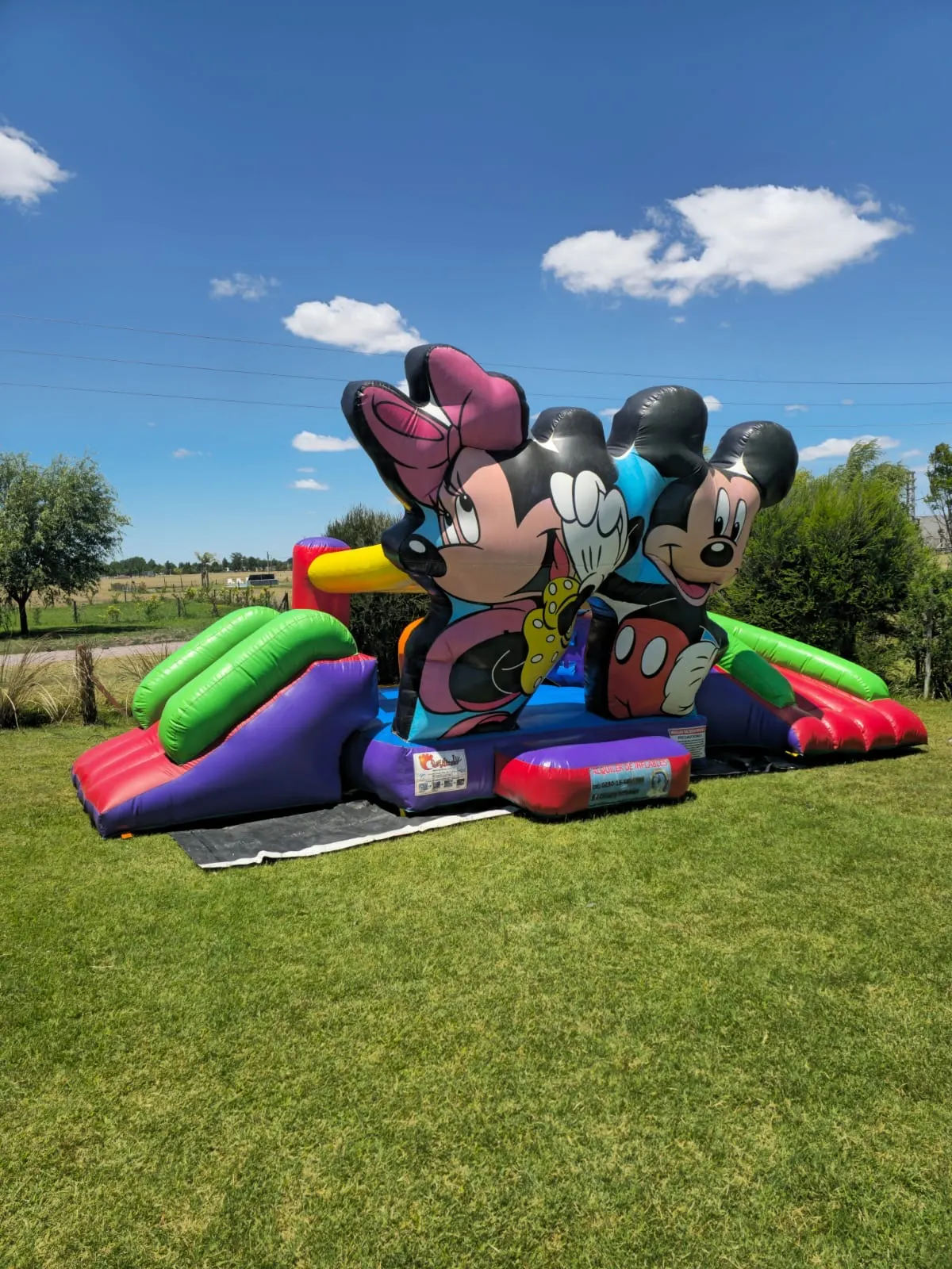 MINNIE Y MICKEY